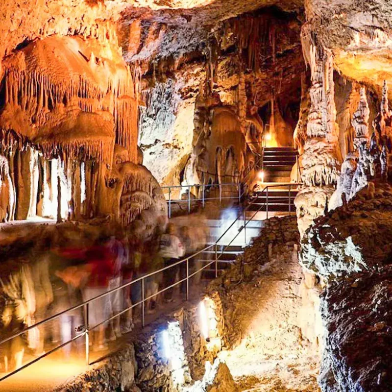 Capricorn Caves